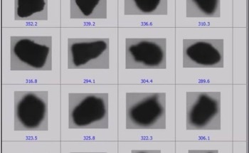 Starch Powder Characterization With Dry Portable Particle Analysis