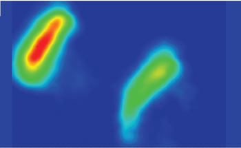 FTIR Microscopy for Recycled Plastic Characterization