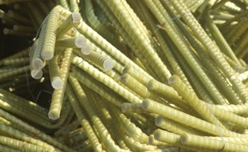 Polymer Blends and "Alloys": The Science of Compatibility