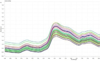 Real-Time Monitoring of Wheat Flour Authenticity Using Near-Infrared Spectroscopy (NIRS)