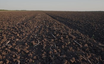 Real-Time PFAS Monitoring in Soil Remediation