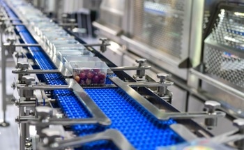 Why Active Food Packaging Materials are Essential for Changing Food Safety Requirements