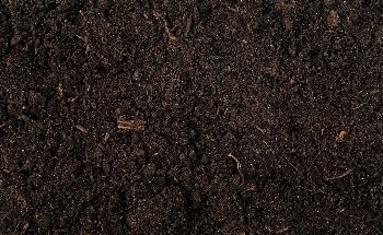 Mass Spectrometry Imaging Reveals How Environmental Contaminants Accumulate in Soil Organisms