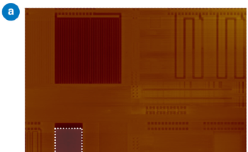How to Measure Full-Die Nanoscale Topography with AFM