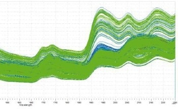 NIRS Quality Control for Milk Powder Production