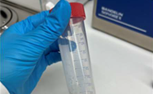 Soil Contaminant Analysis Using Gas Chromatography-Mass Spectrometry (GC-MS)