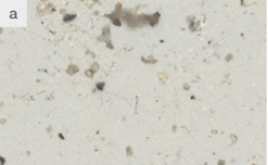 How Micro-FTIR Improves Microplastic Particle Identification