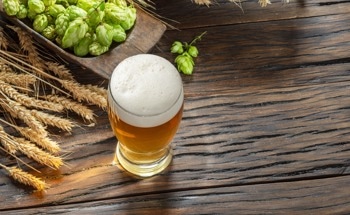 The Future of Beer: How Wild Yeast Helps Create a More Nutritious Brew