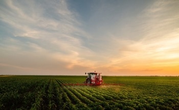 Using Thermogravimetric Analysis for Agricultural Materials