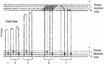 Raman Scattering and Fluorescence Emission