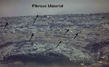 Oil Hose Failure Case Study Using FTIR, TGA and Microscopy