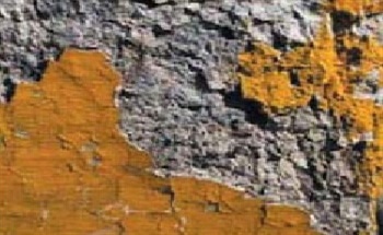 Paints and Coatings - Evaluation, Testing and Problem Solving Services