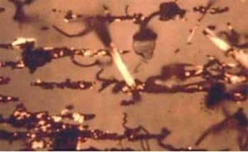 Analytical Tools to Detect and Quantify Large Wear Particles in Used Lubricating Oil