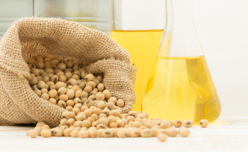 Gamma Irradiation Effect on Acrylated Epoxidized Soybean Oil, Polymerization and Characterization