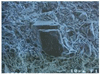 Characterization of Microstructure in Experimental Triaxial Ceramic Body