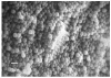 Tailored Macroporous ZrO2-Al2O3 Mixed Oxides by Template-Assisted Method: Novel Materials for Catalytic Applications