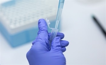 Nanoparticle Embedded Sheets (AuNP-Embedded in Agarose)