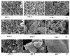 Influence of Surfactants on the Synthesis of SnO2 Nanoparticles and Nanorods
