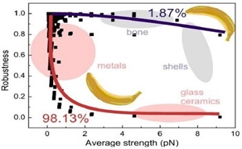 Materiomics: Materials Science of Biological Protein Materials - From Nano to Macro