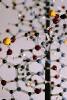 Chemical Analysis of Plastics – Services by ipolytech