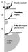 Nanoindentation – The Significance of Hertzian Contact and Development of Plastic Zones