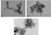 Synthesis and Characterization of Ru Doped TiO2 Nanoparticles by A Sol-Gel and A Hydrothermal Process