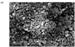 Effect of K+  Doping on the Phase Transformation of TiO2 Nanoparticles