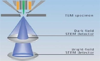 High Resolution Imaging of Biological Samples Using Scanning Electron Microscopes and The ATLAS
