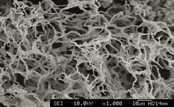 An Introduction to High Performance Superconductors