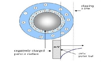 Determination of the Isoelectric Point Using Zeta Potential