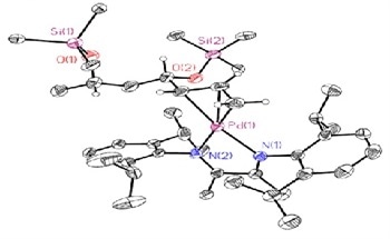 Olefin Polymerization - Catalysts from Group 10 to Group 4