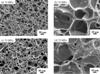 High Strength Borosilicate Foams by Expansion of Ar-Filled Pores and Release of Dissolved Ar Gas