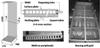 Fabrication of First Wall Component of ITER Test Blanket Module by HIPping Reduced Activation Ferritic/Martensitic Steel