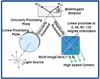 Suitability Assessment of Ethylene-Vinyl-Acetate (EVA) as a Material for Dynamic Photoelastic Coating