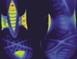 Infrared Thermography and Athletic Comfort