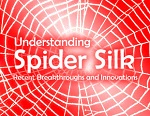 Understanding Spider Silk – Recent Breakthroughs and Innovations