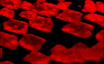Controlling the Orientation, Edge Geometry and Thickness of Chemical Vapour Deposition Graphene