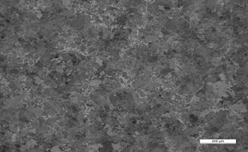 Wave Dispersive X-Ray Fluorescence Analysis of Low Alloy Steel