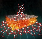 Electrode Optimisation Could Improve Fuel Cells And Storage Devices
