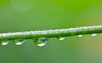 Applications Of Transportable Water Dew-Point Analyzers