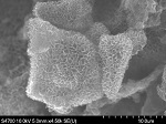 3D Graphene Could Lead To More Economically Viable Solar Cells