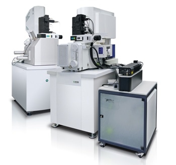 Raman Imaging and Scanning Electron Microscopy