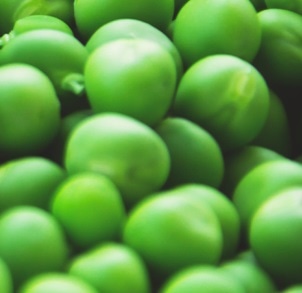 Pre-Packaged LIMS Solutions for Food and Beverage Laboratories