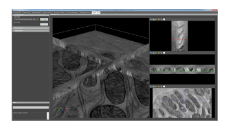 Inspect 3D Software - TEM and STEM Tomography With EDS Integration