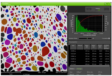 Automated Pore Characterization with Phenom PoroMetric Software