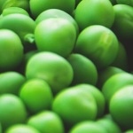 Pre-Packaged LIMS Solutions for Food and Beverage Laboratories