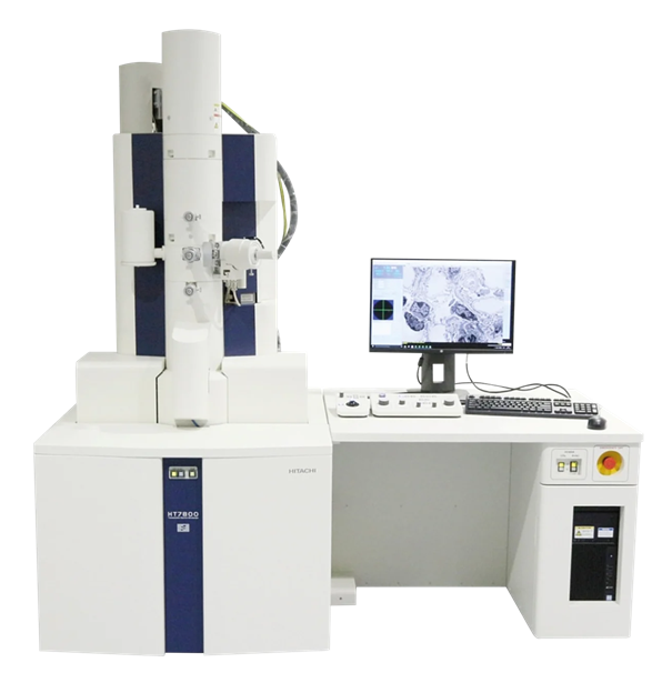 The HT7800: A 120 kV Transmission Electron Microscope
