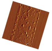 EquipmentImage_299_15770905605879450.png