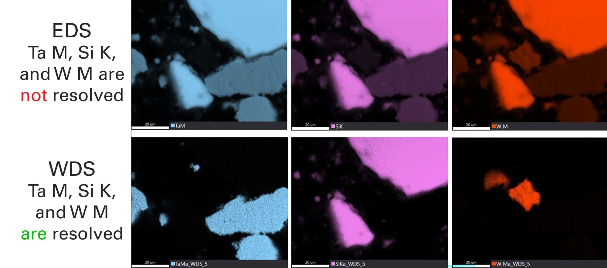 EDS (top) and WDS (bottom) maps of the Si-W-Ta sample. The WDS maps resolve the artifacts due to Ta M, Si K, and W M peak overlaps in the EDS maps.