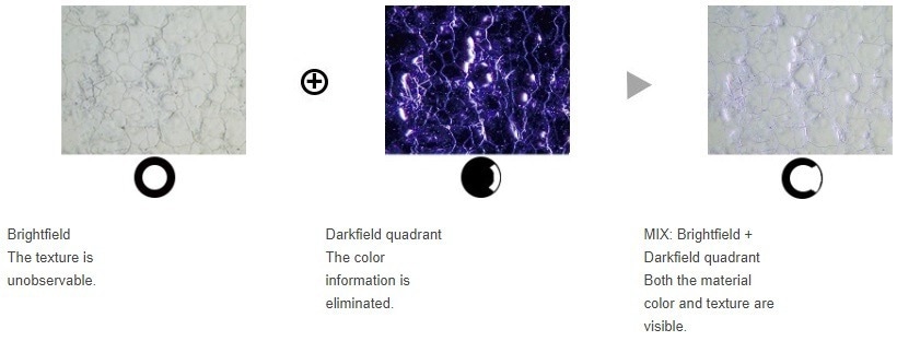 GX53 Inverted Metallographic Microscope from Evident